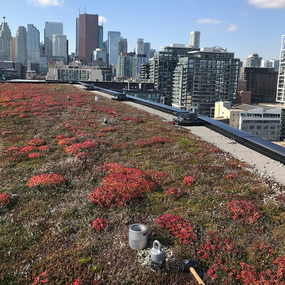 spring roof anchor inspection